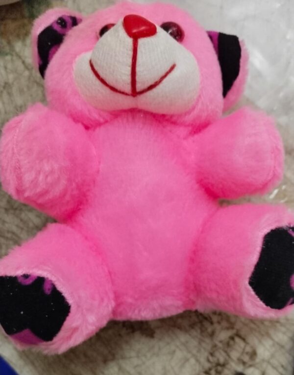 Soft Teddy Bear Pink Color