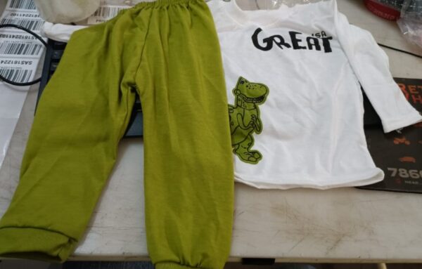 Hopscotch Boy White Colour T Shirt And Green Trouser Size 7 To 9 Month