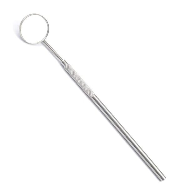 Stainless Steel Dental Hygiene Teeth Cleaning Tool