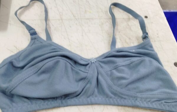 Grey Color Bra For Women Size 36