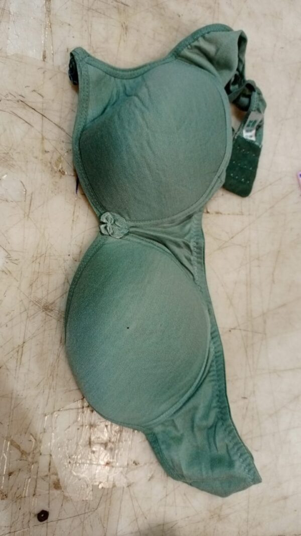 Light Green Colour Bra For Women Size 36