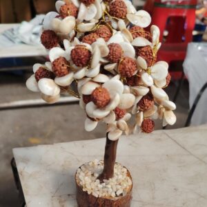 Gomati Chakra Tree With Rudraksha Beads For Good Health Wealth