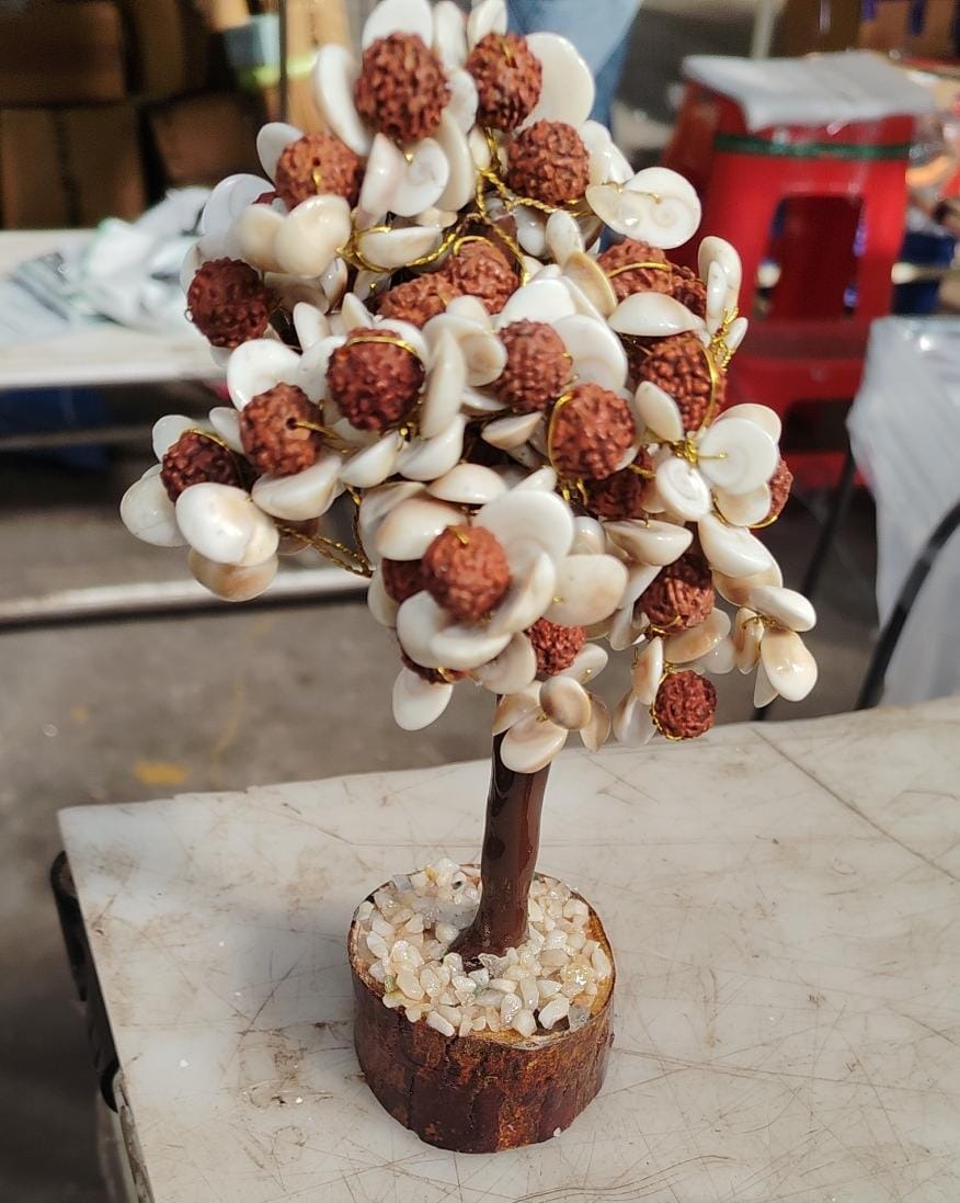 Gomati Chakra Tree With Rudraksha Beads For Good Health Wealth