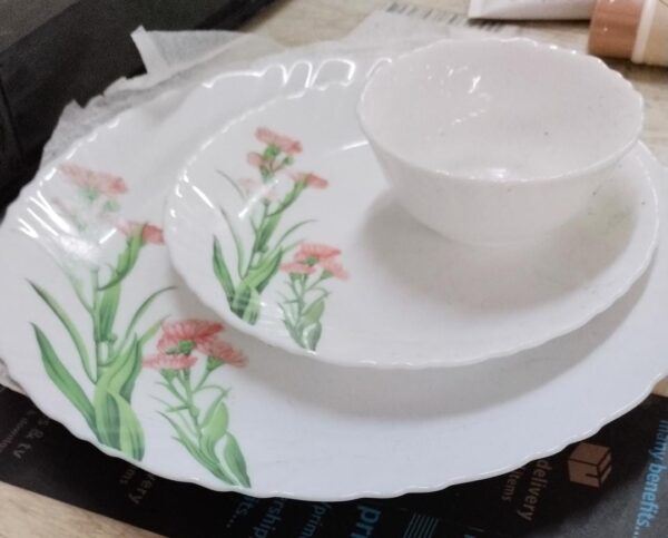 La Opala Novo Scarlet Blooms Dinner Set 10