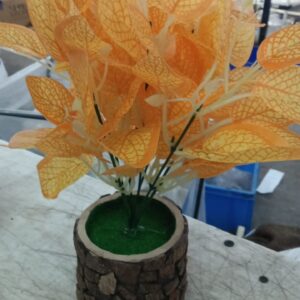 Money Plant With Rounded White Pot Artificial Plant With Pot Orange
