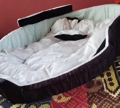 Expecting Smile Luxurious Deluxe SoftAntiSkid Bottom Beds For Dog And Cat M Pet Bed White