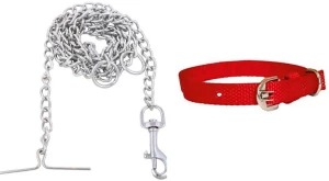 Dog Chain Leash Silver