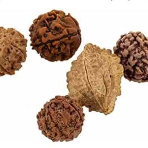 Multicolor Rudraksha Pack Of 6