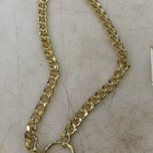 Golden Colour Dog Chain