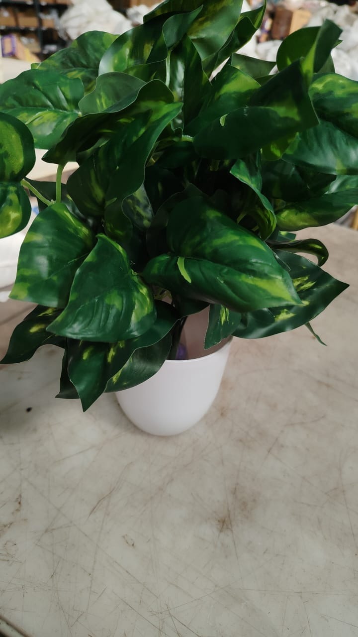 Natural Looking Artificial Money Plant