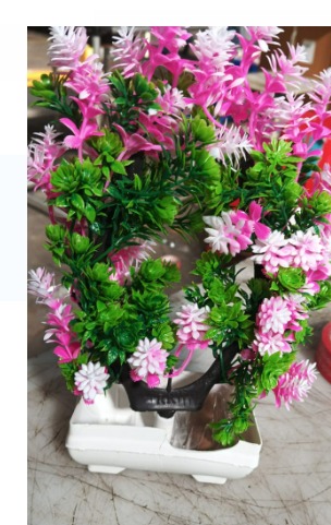 Plastic Flower Plastic Pot