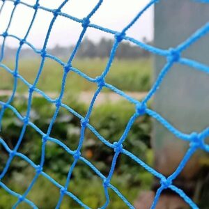 Bird Net Sky Color Size 7 X 10