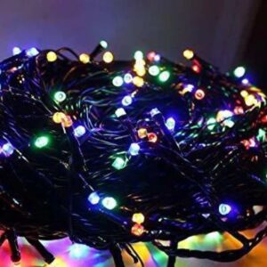 Multicolor Color Changing Bulb Rice Lights Pack Of 1