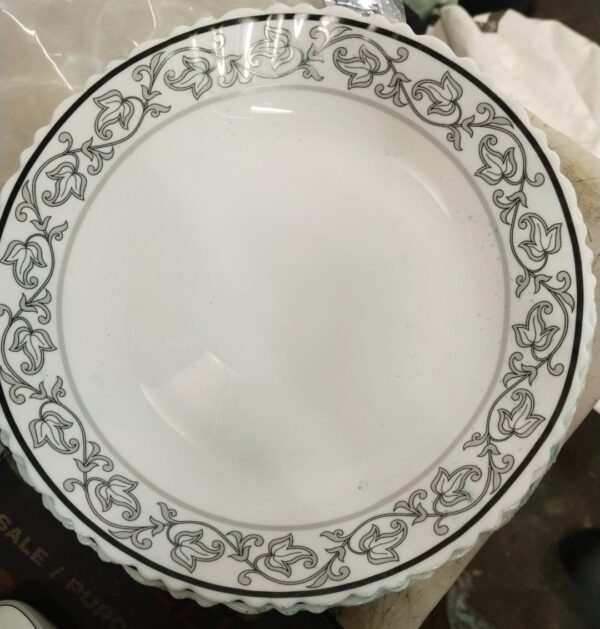 Larah Borosil Morning Glory 5 Pcs Plate Set 10 Inch