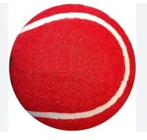 Red Colour Rubber Ball For Kids