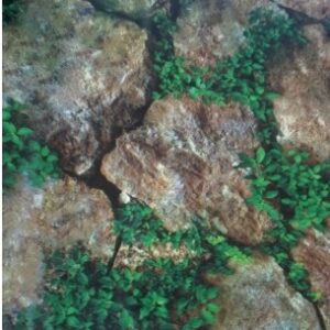 Wallpaper For Home Wall Decorative 3D Vintage Stones With Tiny Leaves 4Mtr