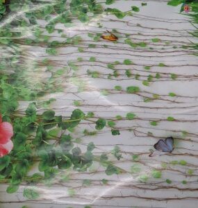Printed Wallpaper For Home Decor Green Colour 1 Point 5 Mtr