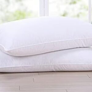 Cotton Pillow White Color Pack Of 2