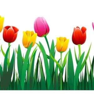 Home Decor Tulip Flower Wall Sticker