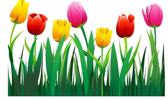 Home Decor Tulip Flower Wall Sticker Multicolor Vinyl 47X120 Pack Of 4