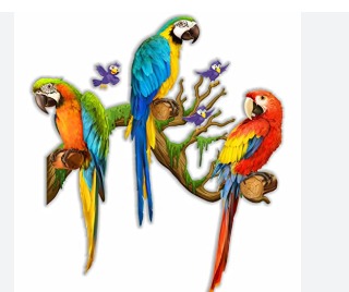 Multicolor Parrot Sticker For Home Decor