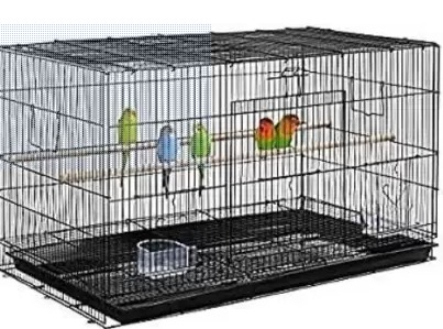 Small Birds Hard Cage