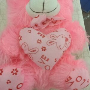 Teddy Bear With Cap Pink 30Cm