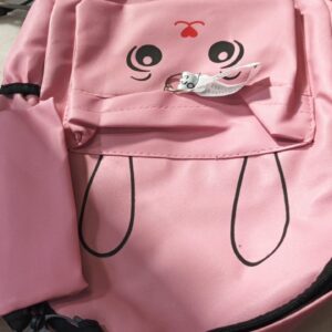 Light Pink Colour Back Pack Bag For Girls