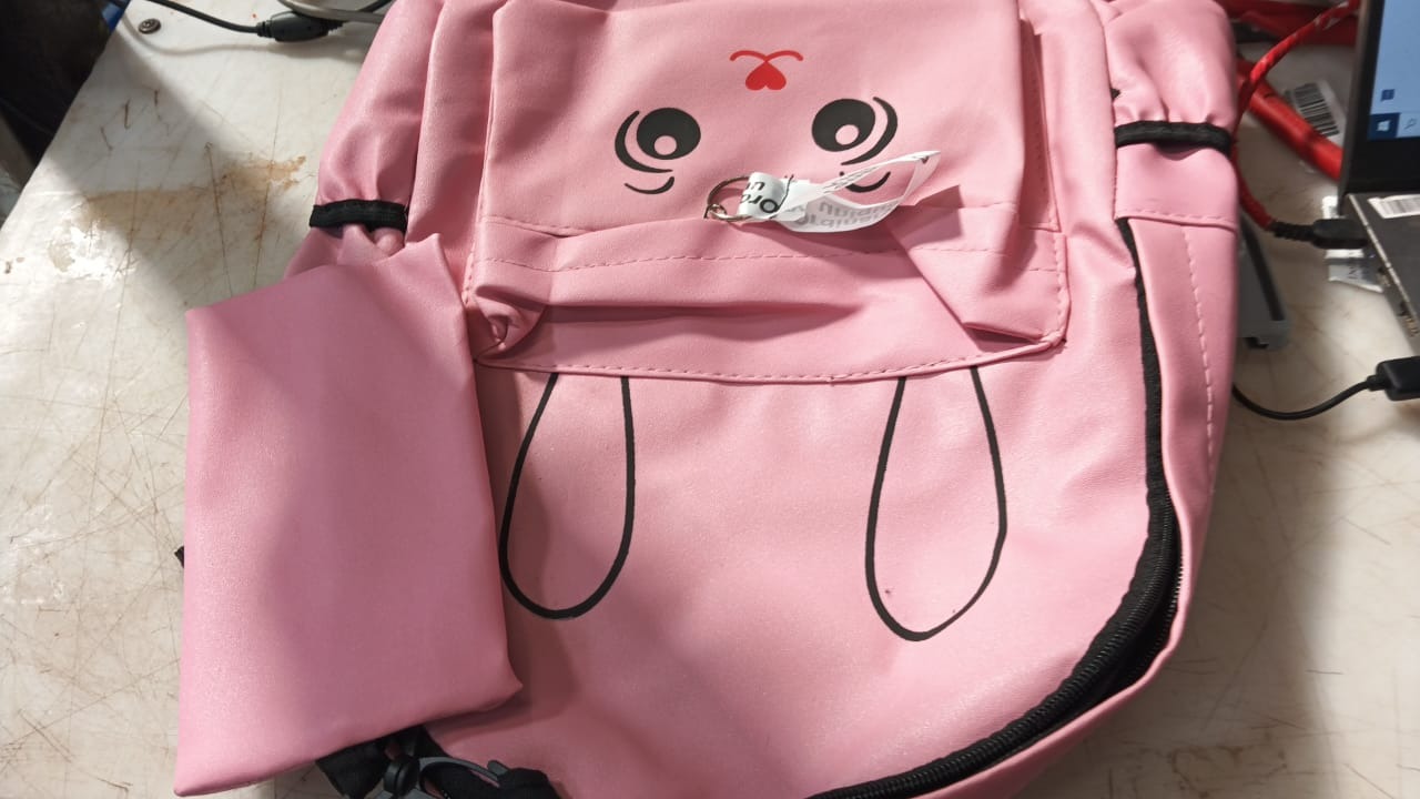Light Pink Colour Back Pack Bag For Girls