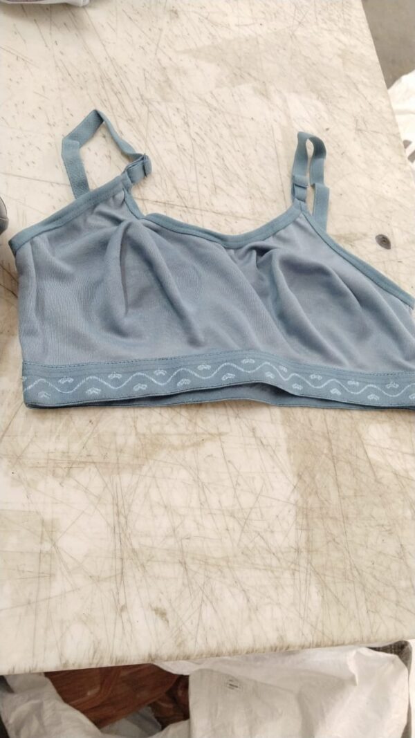 Dusty Sky Color Bra For Women Size 28