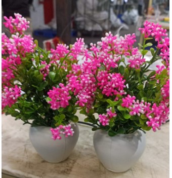 Artificial Pot Pink Colour Set Of 2