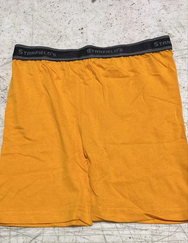 Stanfield Men Briefs Underwear Yellow Size 90