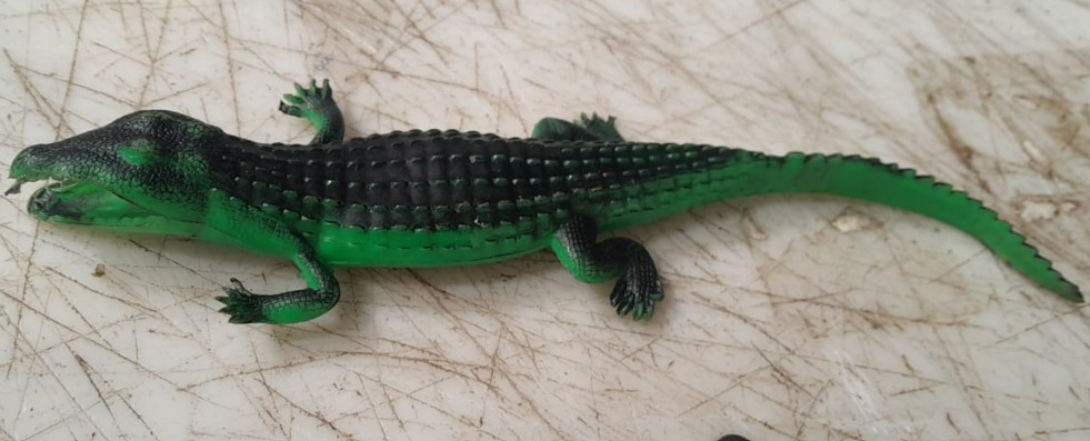 Rubber Crocodile Toy For Kids Green Black