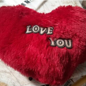 Heart Shape Cushion Pillow Red
