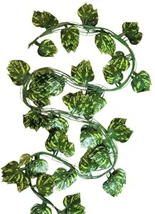 Fake Money Plant Wall Hanging Green For Home