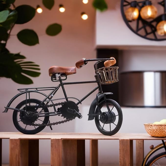 Carvistro Iron And Wooden Handmade Antique Cycle
