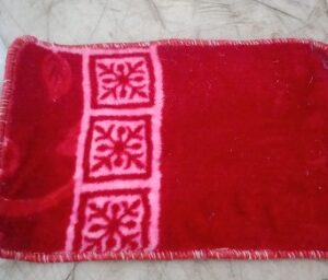 Home Door Mate Red Color