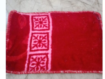 Home Door Mate Red Color