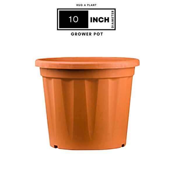 10 Inch Grower Plastic Pot Terracotta