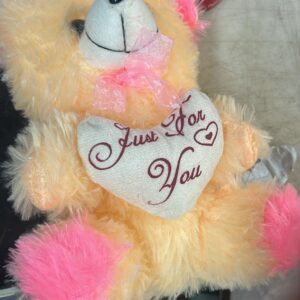 Teddy Bear Orange And Pink Colour 1 Foot
