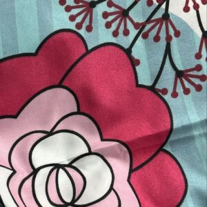 Double Bed Sheet Sky Printed