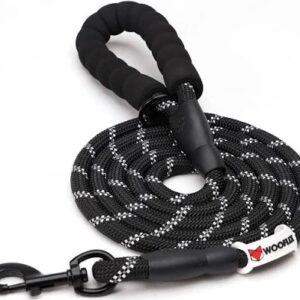 Heavy Duty Nylon Dog Leash Black Color 5 Feet Long