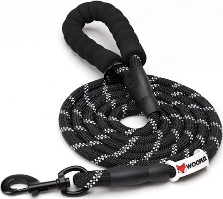 Heavy Duty Nylon Dog Leash Black Color 5 Feet Long