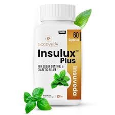 Goodveda Insulux Plus 60 Capsule 800 Mg Ayurvedic Supplement For Blood Sugar Control