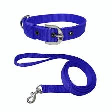 Dog Collar And Leash Belt Full Set Blue Color Waterproof Large Nylon Leash Size Large