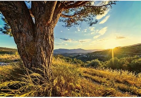 Viny Studio Natural Spring Tree Photography Backdrop Sunrise Blue Sky White Cloud Rural Aged Tree Mountain Grass Field Outdoors Picnic Kids Adults Camping Theme Photo