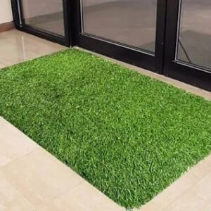 Home High Density Artificial Grass Mat 2 X 3 Feet