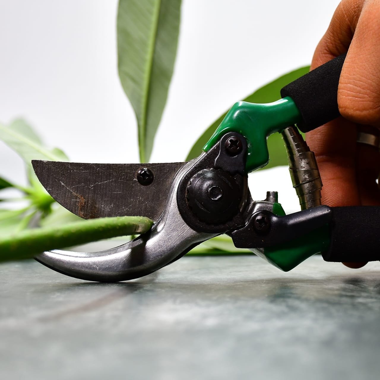 Green Garden Shears Sharp Cutter Pruners Scissor Pruner
