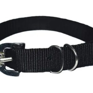 Heavy Buckle Dog Leash And Collar Belt