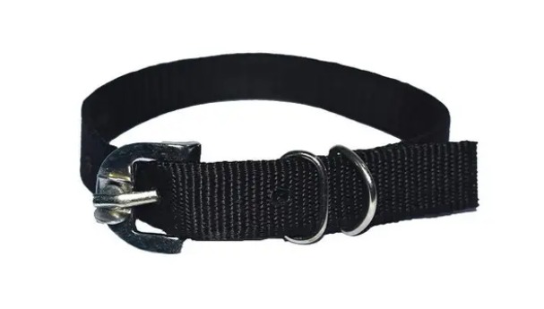Heavy Buckle Dog Leash And Collar Belt
